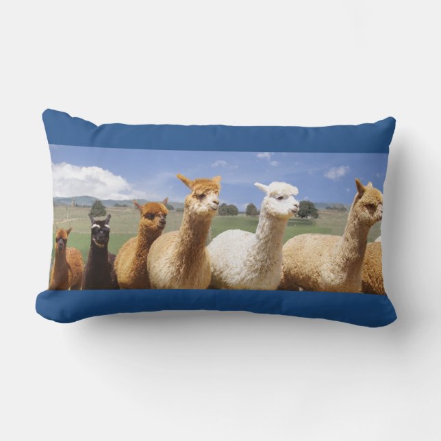 Cozy Alpaca Lumbar Pillow (Front)