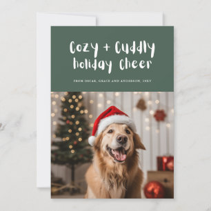Cozy and Cuddly Cheer Green Cute Pet Family Photo Holiday Card