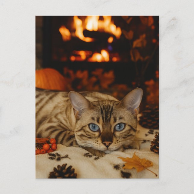 Cozy Autumn Cat Fireplace Warm Fall Postcard (Front)