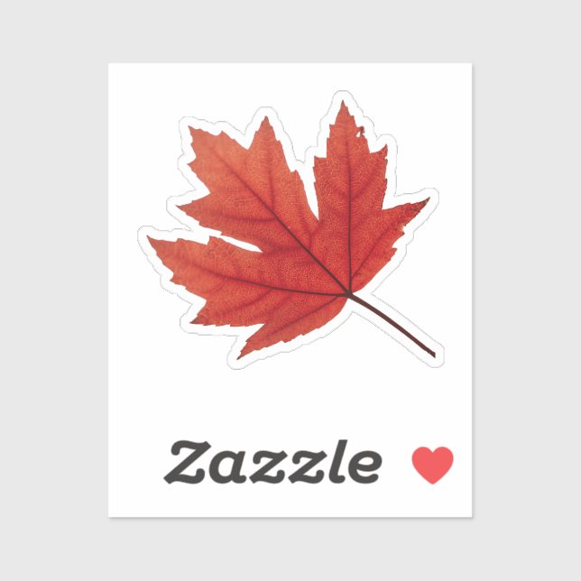 Cozy Autumn Vibes: Fall Season (Sheet)