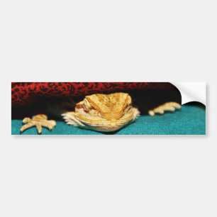 Cozy Bearded Dragon Bumper Sticker