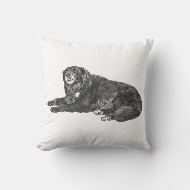 Cozy Black Dog Pillow for Fall Decor (Front)