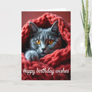 Cozy Cat Birthday Card