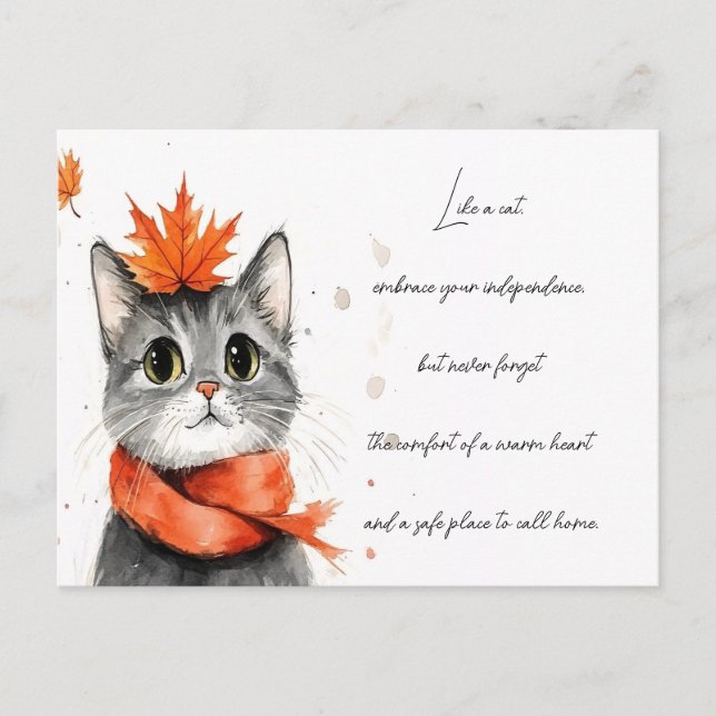 Cozy Cat in a Scarf  Postcard (Front)