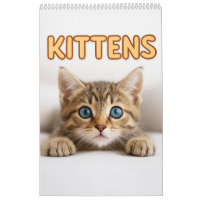 Cozy Cat Photography | Cute Kitten Cat Wall 