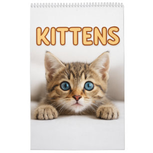 Cozy Cat Photography   Cute Kitten Cat Wall  Calendar