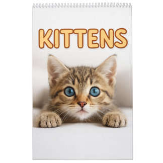 Cozy Cat Photography | Cute Kitten Cat Wall  Calendar