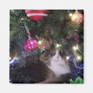 Cozy Cat under christmas tree Magnet