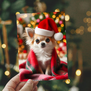 Cozy Chihuahua Christmas Card