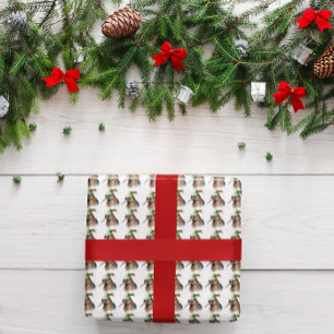 Cozy Christmas Kiwi Wrapping Paper