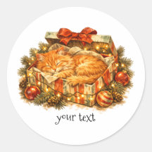 Cozy Christmas Orange Cat Sleeping Gift Box Retro