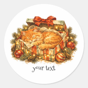 Cozy Christmas Orange Cat Sleeping Gift Box Retro Classic Round Sticker
