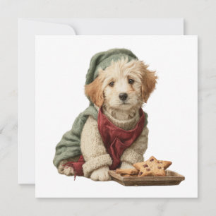 Cozy Christmas Pup Star Cookie Dog Card