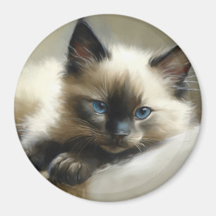 Cozy Companion Siamese Kitten Magnet