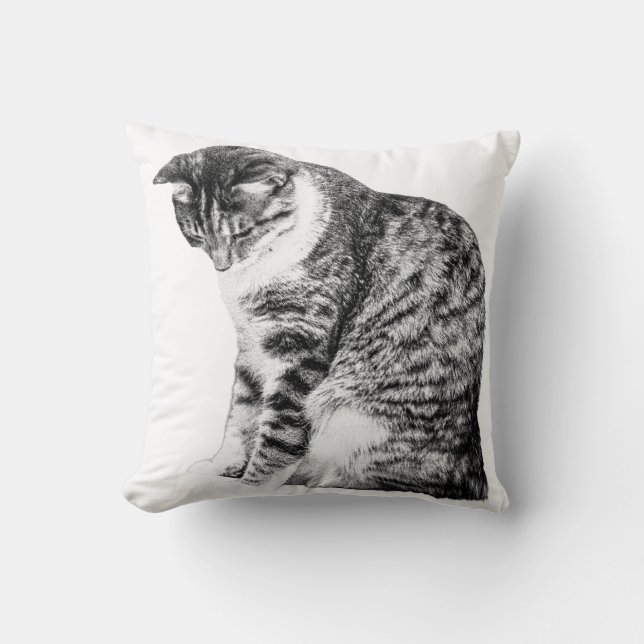 Cozy Corners with Shaded Cat Grace Throw Pillow (Front)