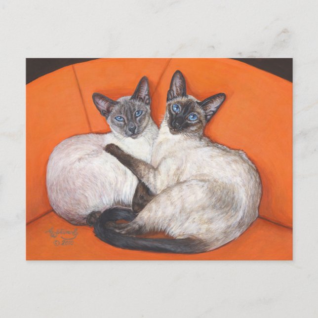Cozy Couple Siamese Cat Postcard (Front)