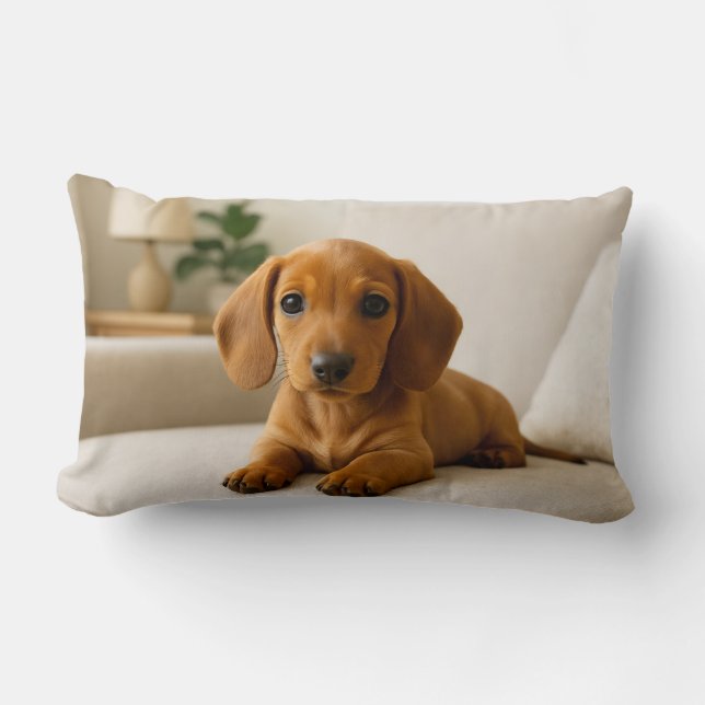 Cozy Dachshund  Lumbar Pillow (Front)