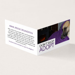 Cozy Dog, Pet Adoption Detailed Business Card