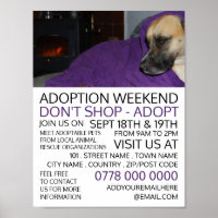 Cozy Dog, Pet Adoption Event Advertising