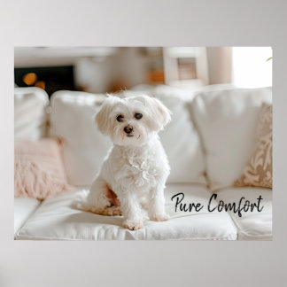 Cozy Elegance: Maltese on the Sofa Poster