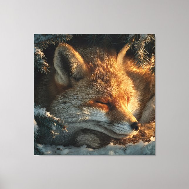 Cozy Fox in Snow Canvas Print (Front)