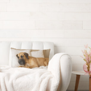 Cozy Great Dane Lumbar Pillow
