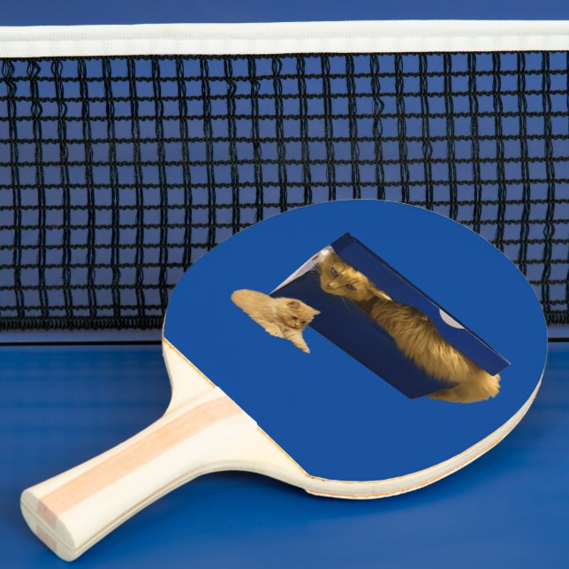 "Cozy Hideaway: The Ginger Cat in the Shoe Box" Ping Pong Paddle (Insitu)