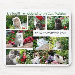 Cozy Kitten Mouse Pad