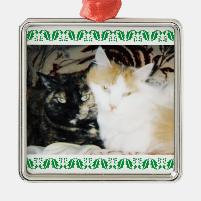 Cozy Photo Two Cats Green Holly Border Metal Ornament (Front)
