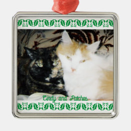 Cozy Photo Two Cats with Names Green Holly Border Metal Ornament