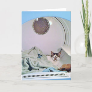 Cozy Places Greeting Card