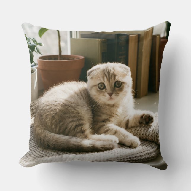 Cozy Scottish Fold Cat Throw Pillow (Front)