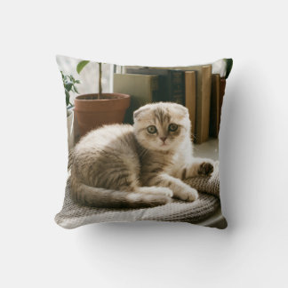 Cozy Scottish Fold Cat Throw Pillow