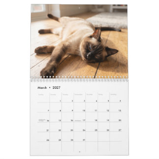 Cozy Sleeping Cats | Cute Cat Photo Calendar