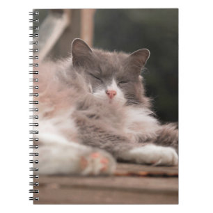 Cozy Sleeping Fluffy Cat Notebook
