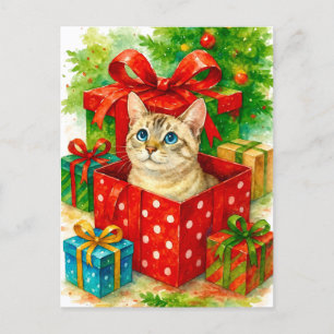Cozy Surprise Cat Christmas Postcard