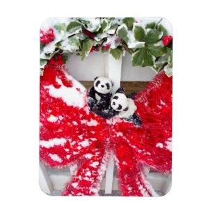 Cozy Together Magnet