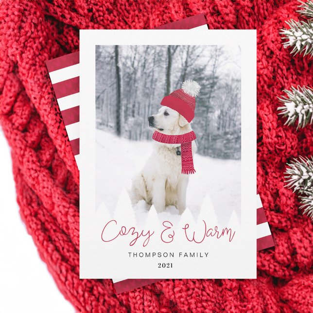 Cozy & Warm Family & Pet Photo Winter Hat & Scarf Holiday Card (Cozy & Warm Family & Pet Photo Winter Hat & Scarf Holiday Card)