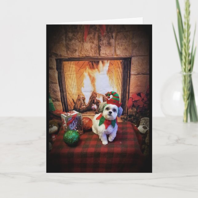 COZY/WARM MERRY CHRISTMAS / HAPPY NEW YEAR HOLIDAY CARD (Front)