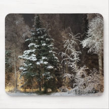 Cozy Winter Forest Night Scene