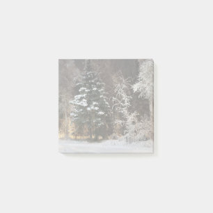 Cozy Winter Forest Night Scene Post-it Notes