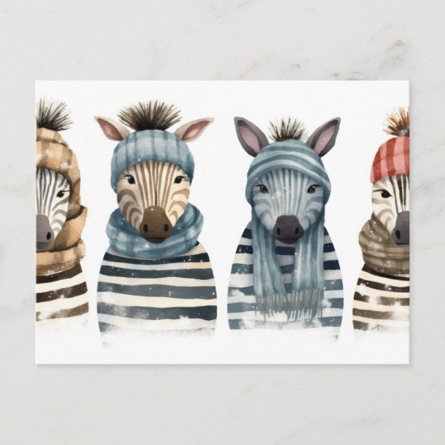 Cozy Zebras Postcard (Front)
