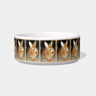 Cptn Carrotpants Bunny Rabbit Bowl