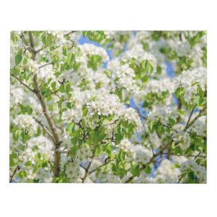 Crab apple blossom notepad