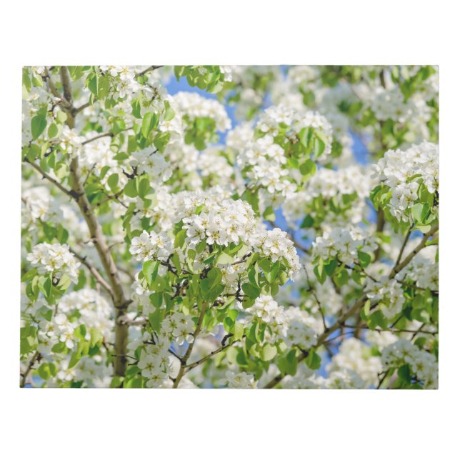 Crab apple blossom notepad (Front)