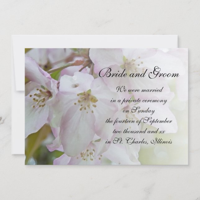 Crab Apple Blossoms Marriage Announcement (Front)