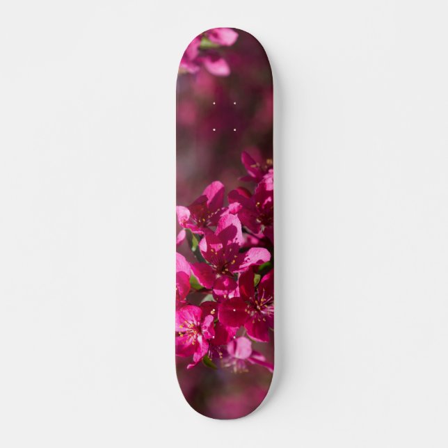 Crab Apple Shadows Skateboard (Front)