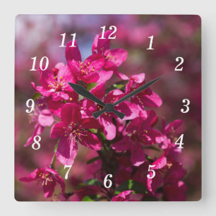 Crab Apple Shadows Wall Clock