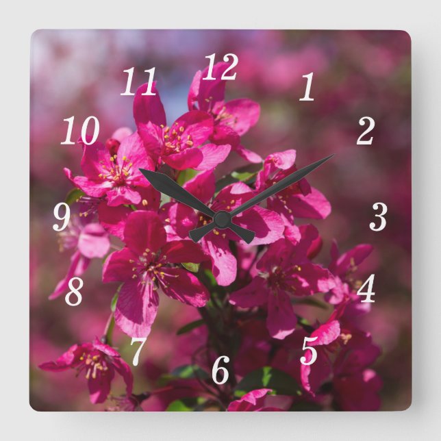 Crab Apple Shadows Wall Clock (Front)