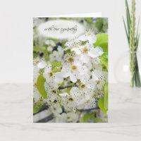 Crab Apple Tree Blossoms Sympathy